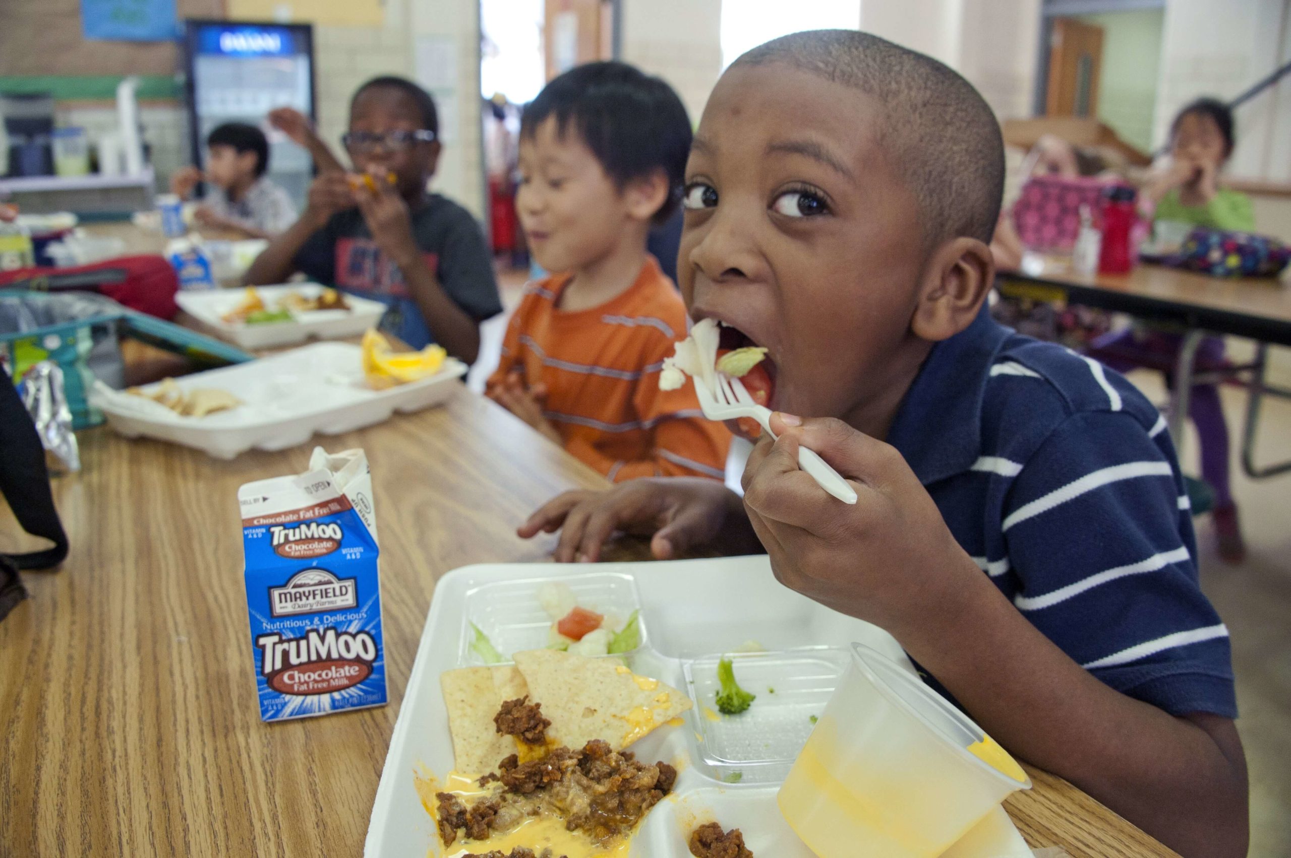 seguridad alimentaria escuelas