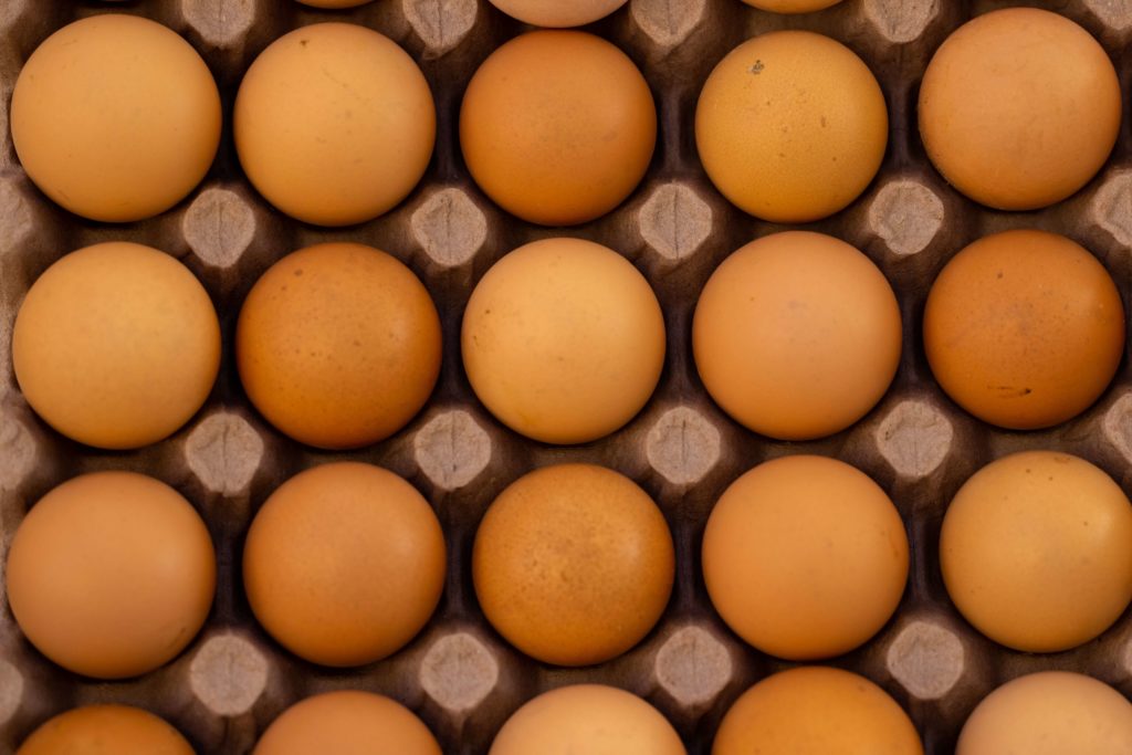 Seguridad alimentaria huevos