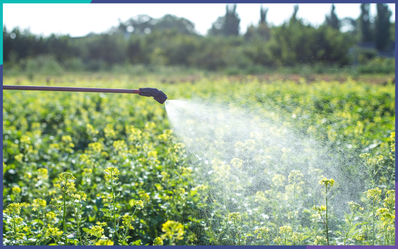 Contaminación química de los alimentos