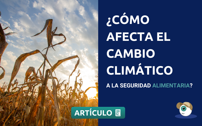 ¿Cómo afecta el cambio climático a la Seguridad Alimentaria?