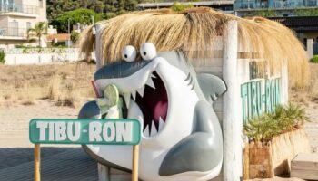 grupo-tiburon-impulsa-su-crecimiento-con-Andy