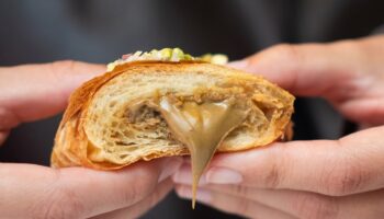 Bombon Boss ha reforzado y estructrado su operativa con Andy